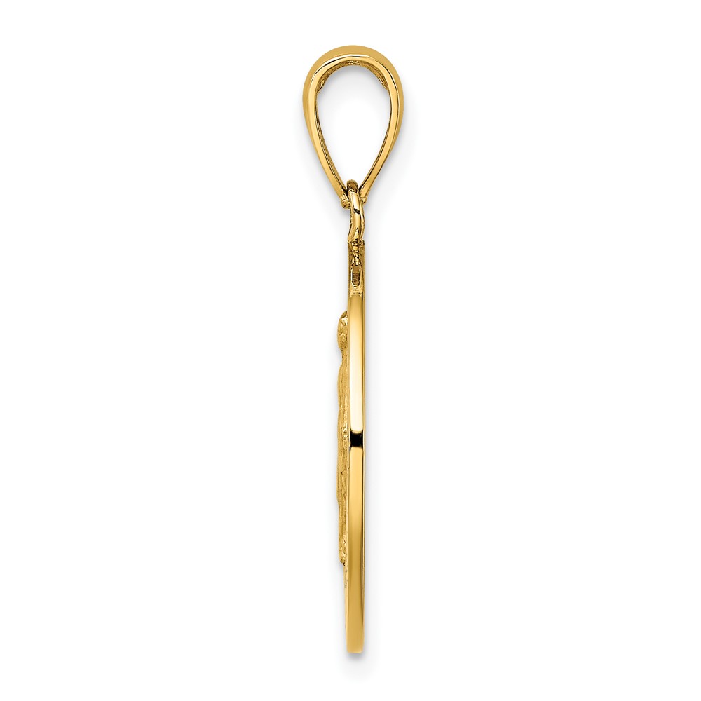 10K Polished and Satin Miraculous Medal Charm (10K8487)