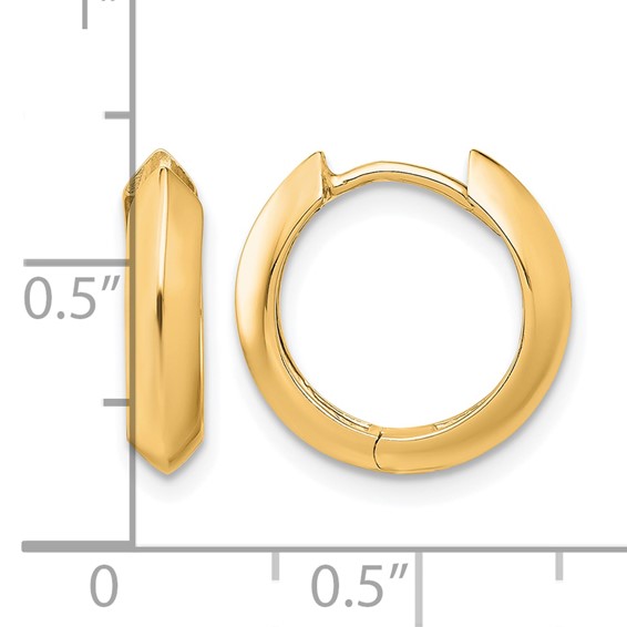 Leslie's Gold Hinged Hoop Earrings