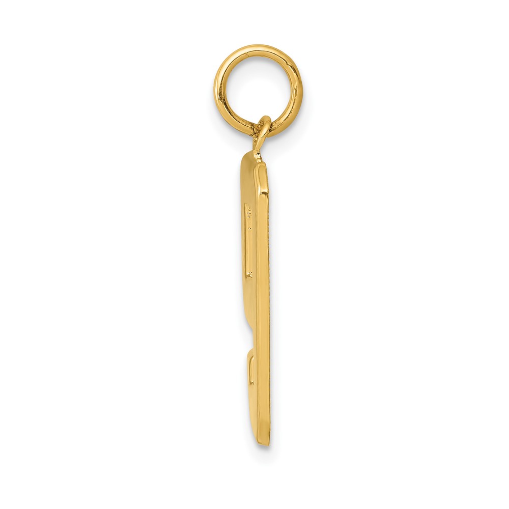 10k Large Polished Number 9 Charm (10LP09)