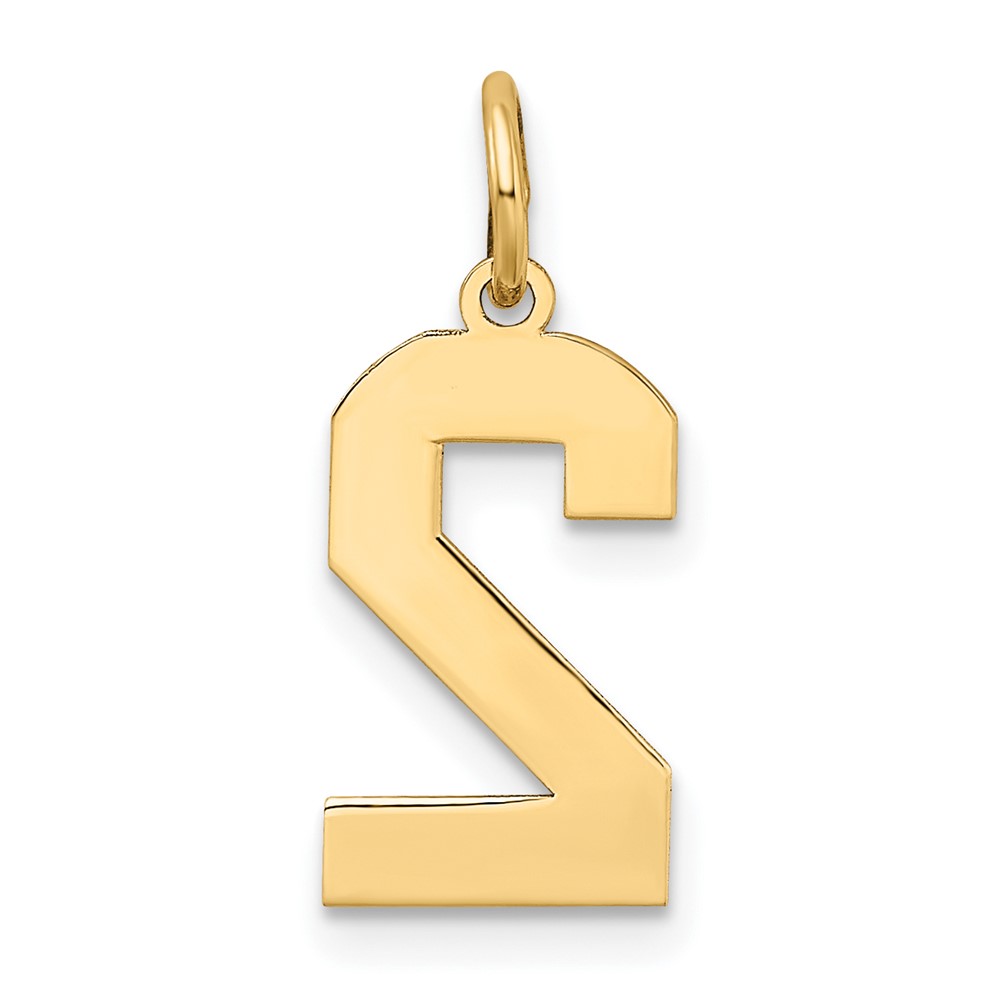 10k Medium Satin Number 2 Charm (10LSM02)