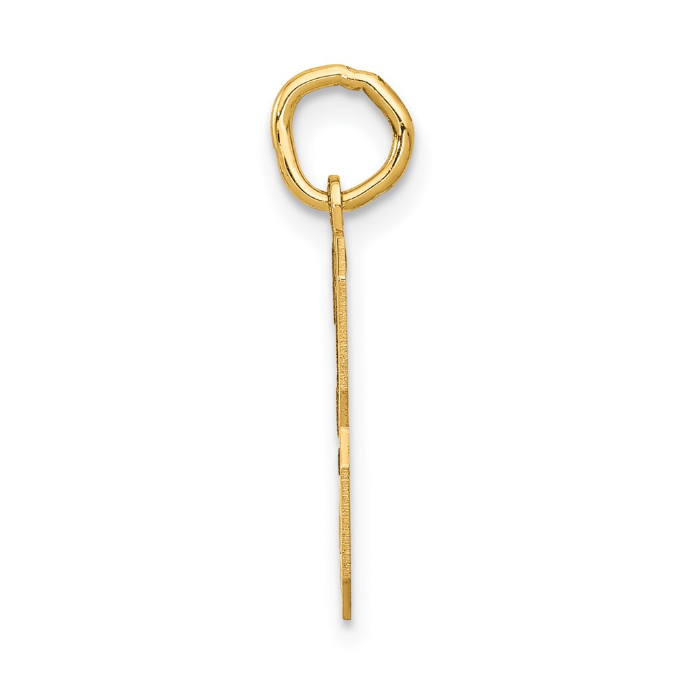 10k Medium Satin Number 3 Charm (10LSM03)