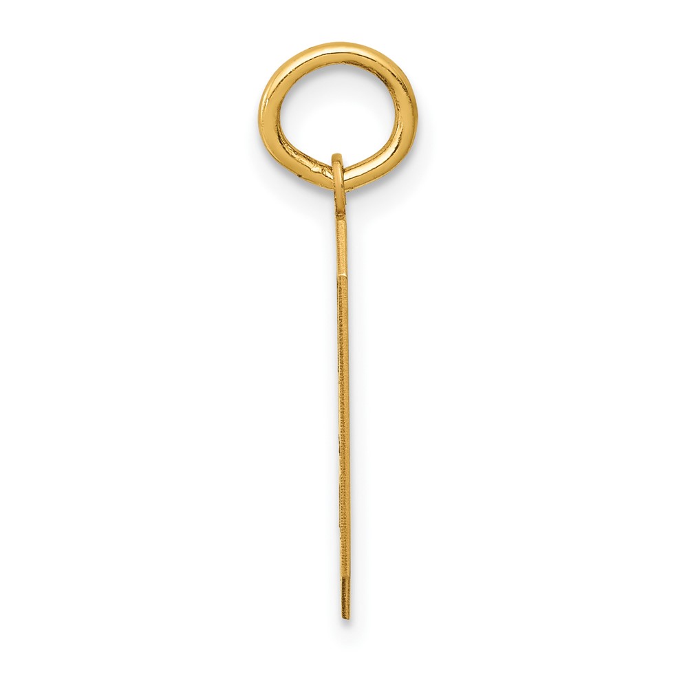 10k Medium Satin Number 9 Charm (10LSM09)