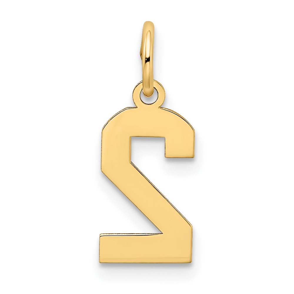10k Small Satin Number 2 Charm (10LSS02)