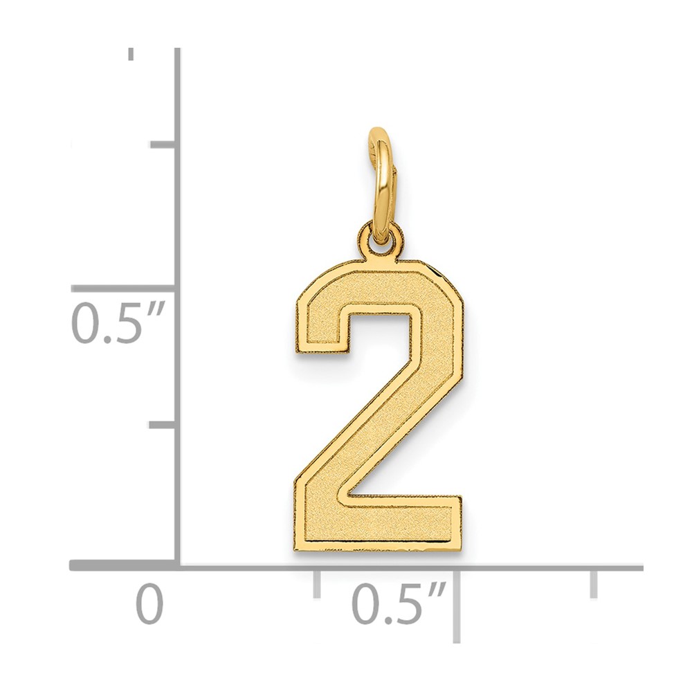 10k Small Satin Number 2 Charm (10LSS02)