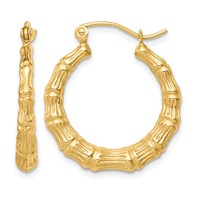 10K Yellow Gold Polished Hollow Classic Earrings view 1