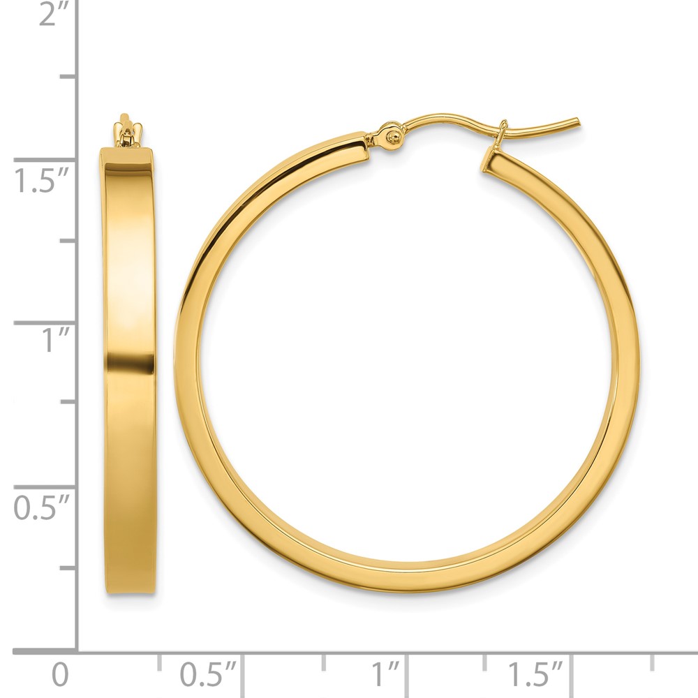 10k Polished Hoop Earring (10TA242)