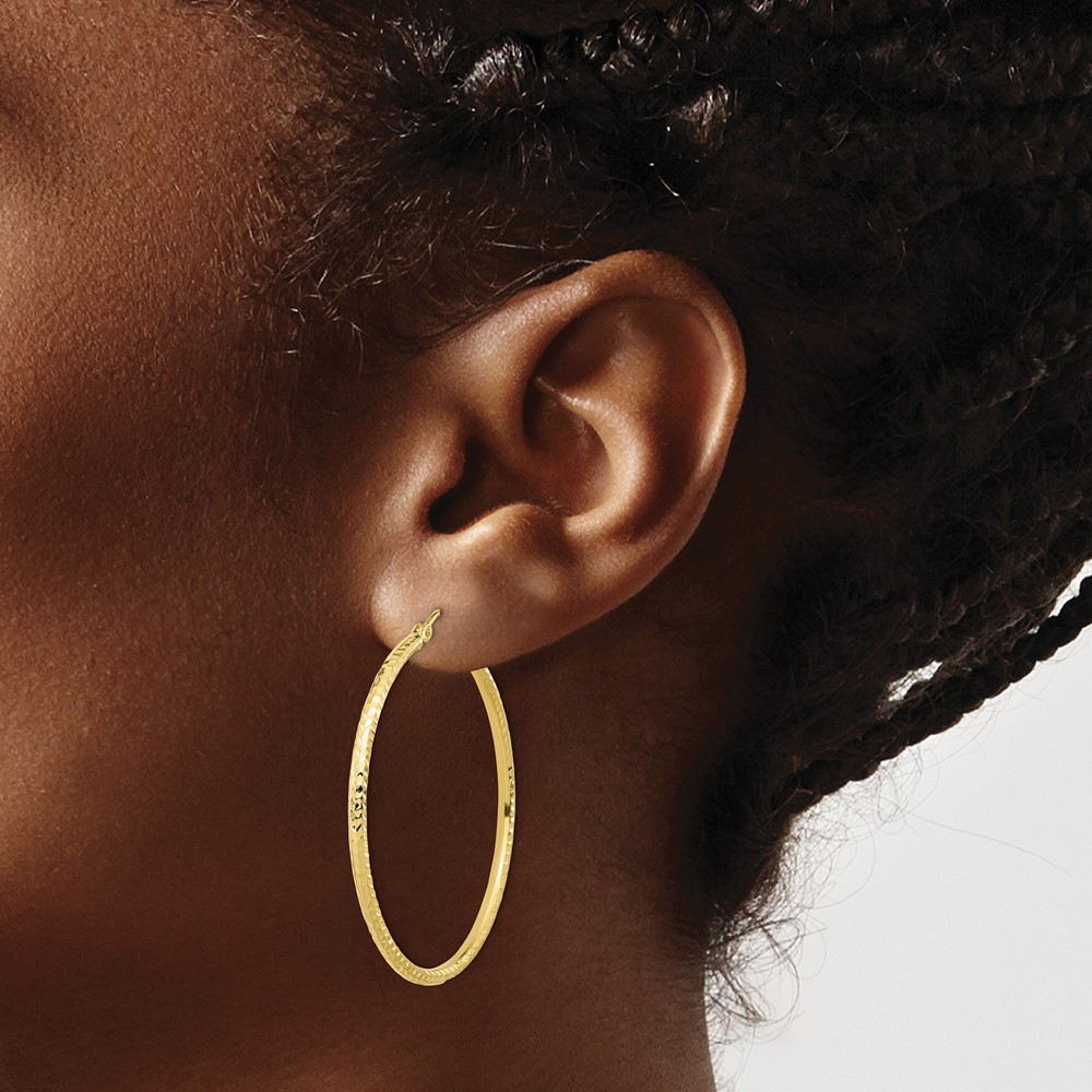 10k Diamond-cut 2mm Round Tube Hoop Earrings (10TC396)
