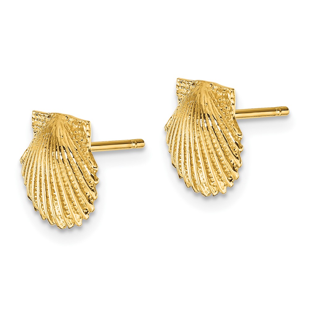 10k Scallop Shell Post Earrings (10TC569)