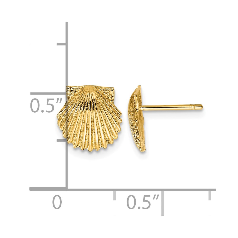 10k Scallop Shell Post Earrings (10TC569)