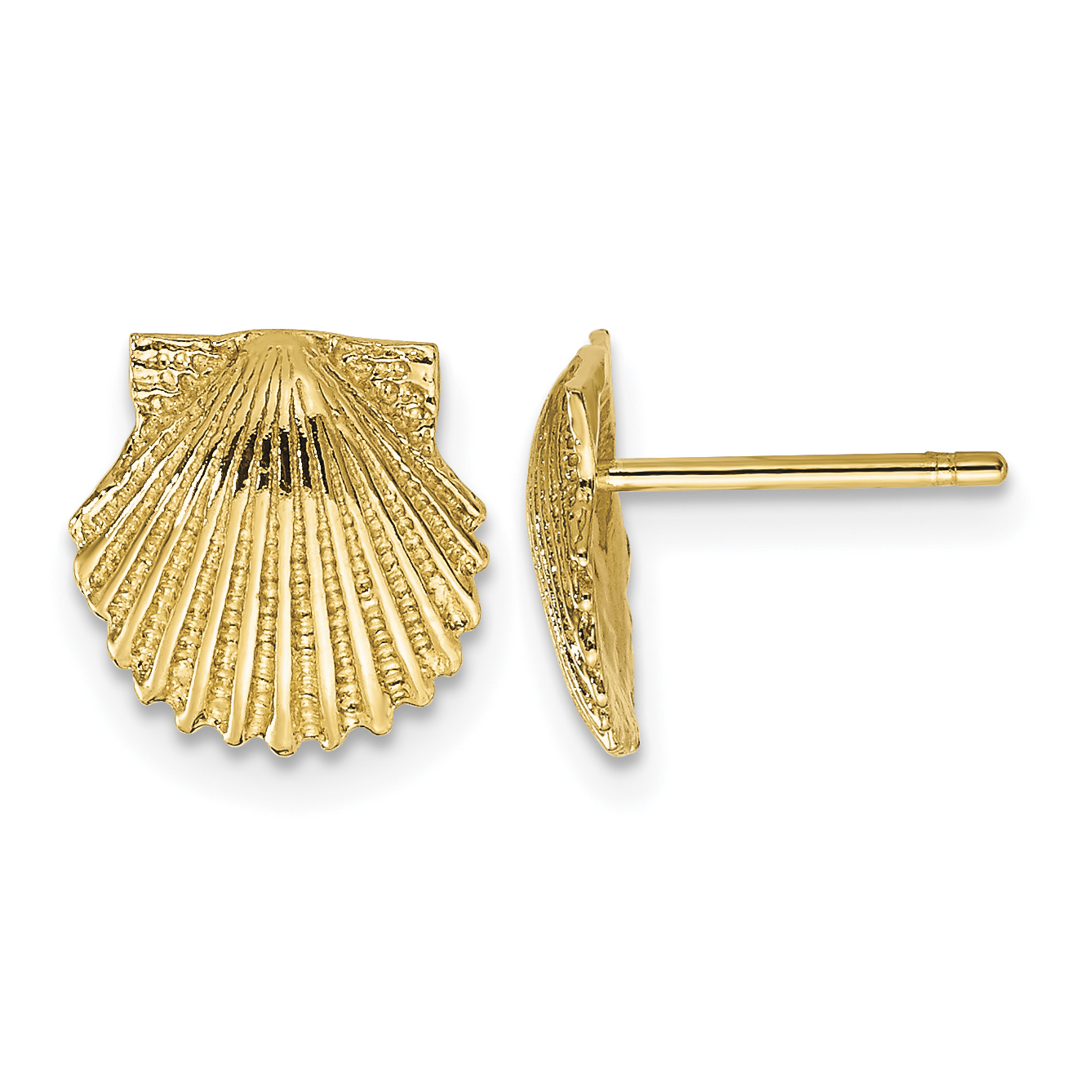 10k Scallop Shell Post Earrings (10TC569)