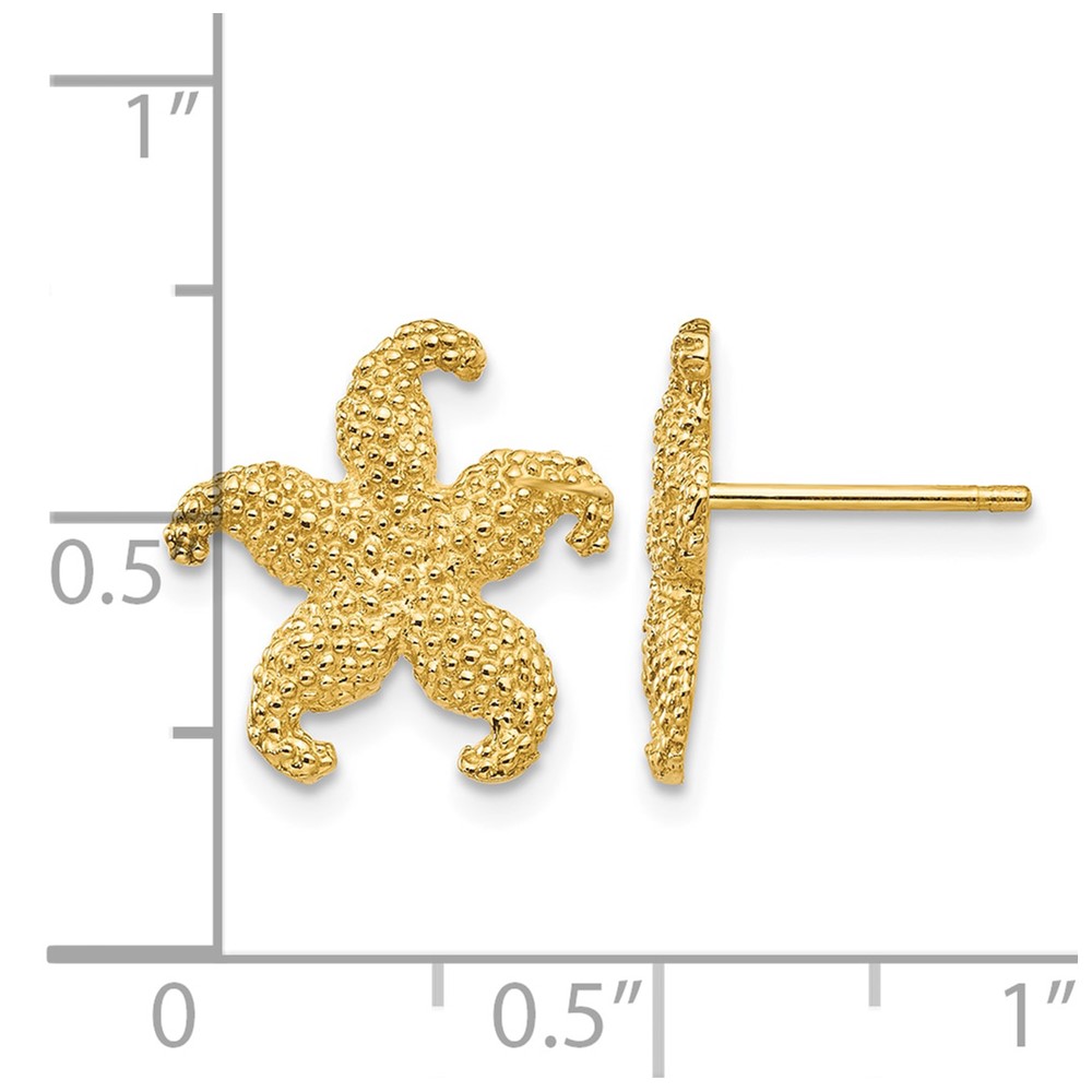 10K Starfish Post Earrings (10TC586)
