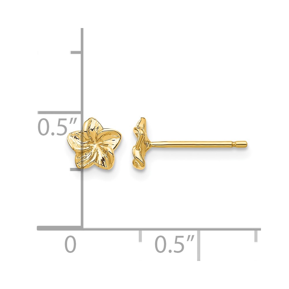 10K Plumeria Flower Post Earrings (10TC623)