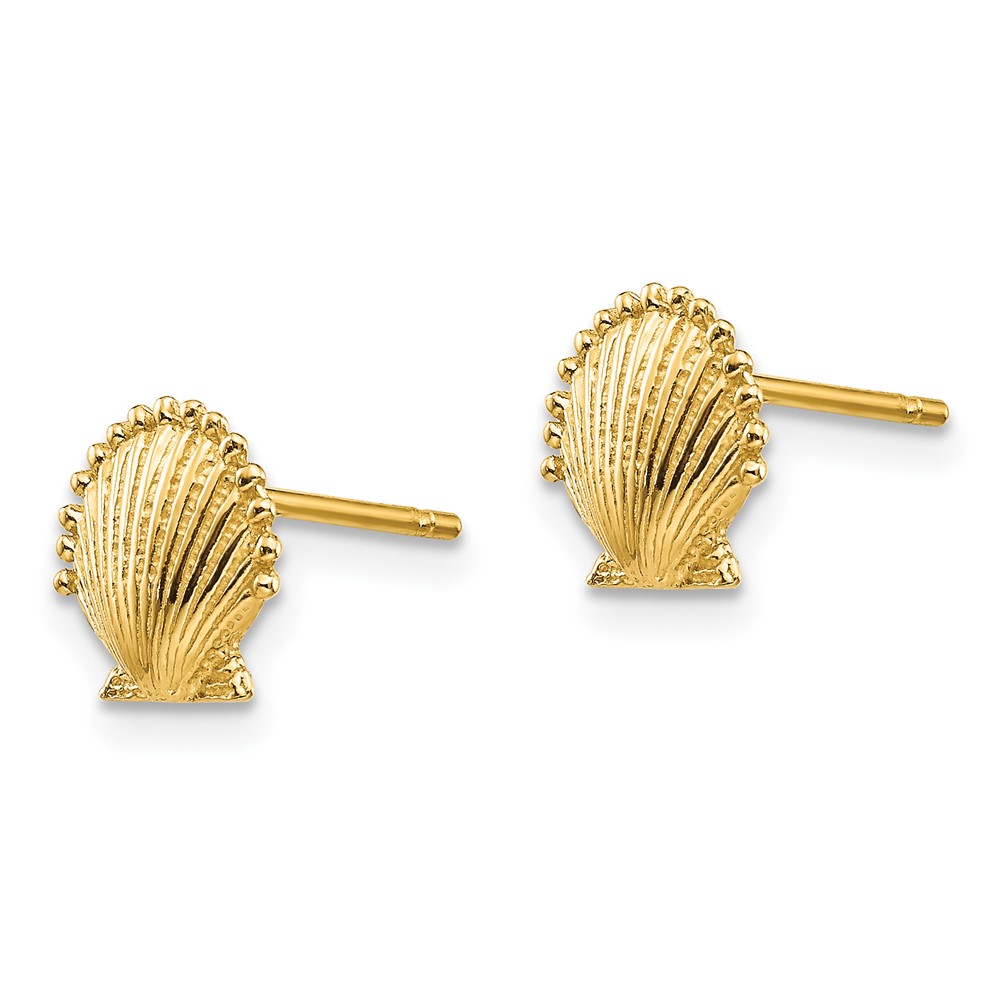 10K Scallop Shell Post Earrings (10TE633)