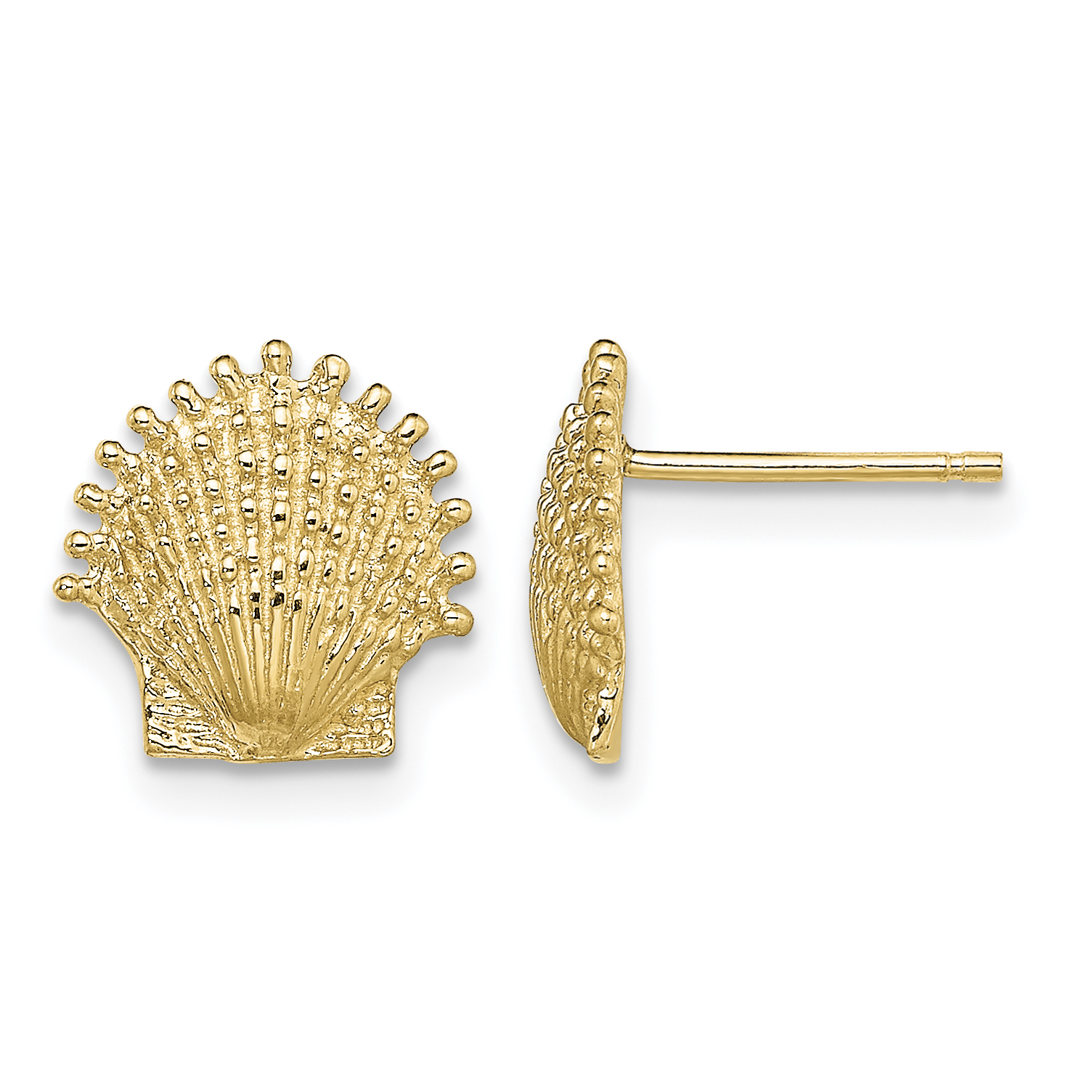 10K Beaded Scallop Shell Post Earrings (10TE766)