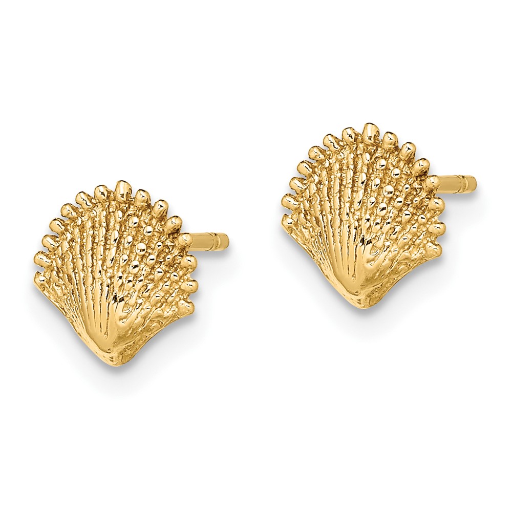 10K Scallop Shell Post Earrings (10TE778)