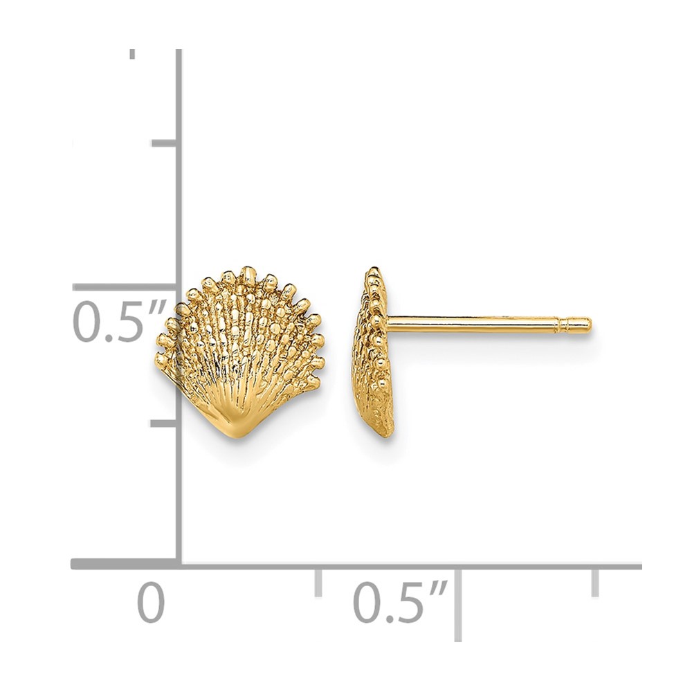 10K Scallop Shell Post Earrings (10TE778)