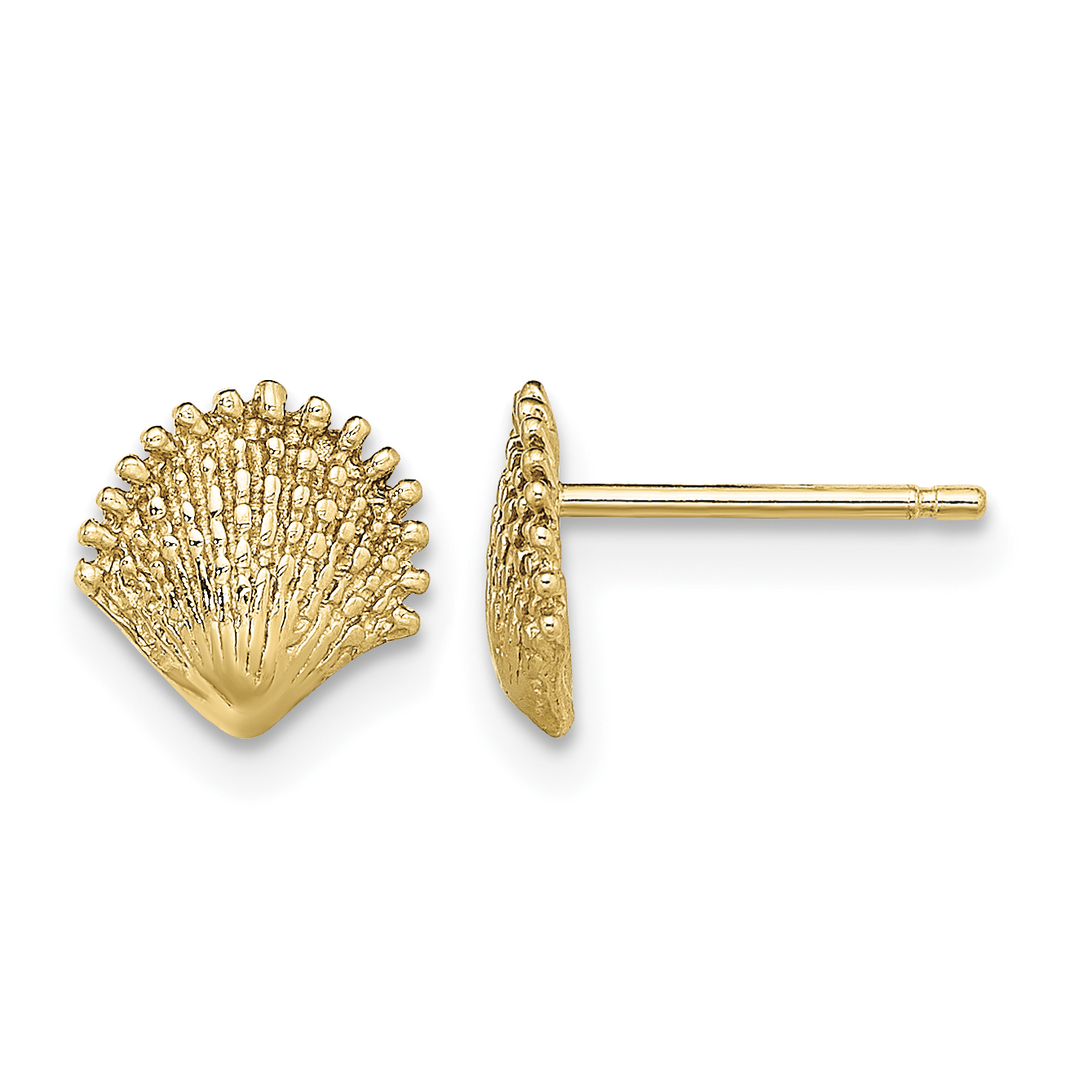 10K Scallop Shell Post Earrings (10TE778)