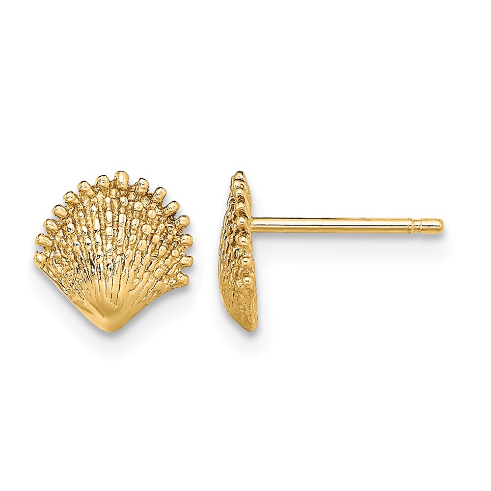 10K Scallop Shell Post Earrings (10TE778)