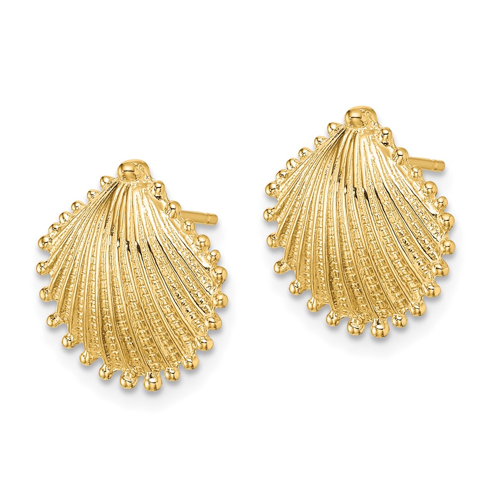 10K Scallop Shell Post Earrings (10TE779)