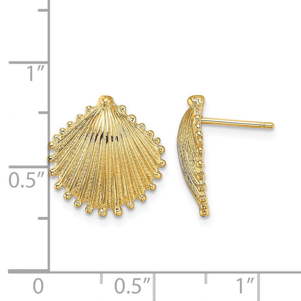 10K Scallop Shell Post Earrings (10TE779)