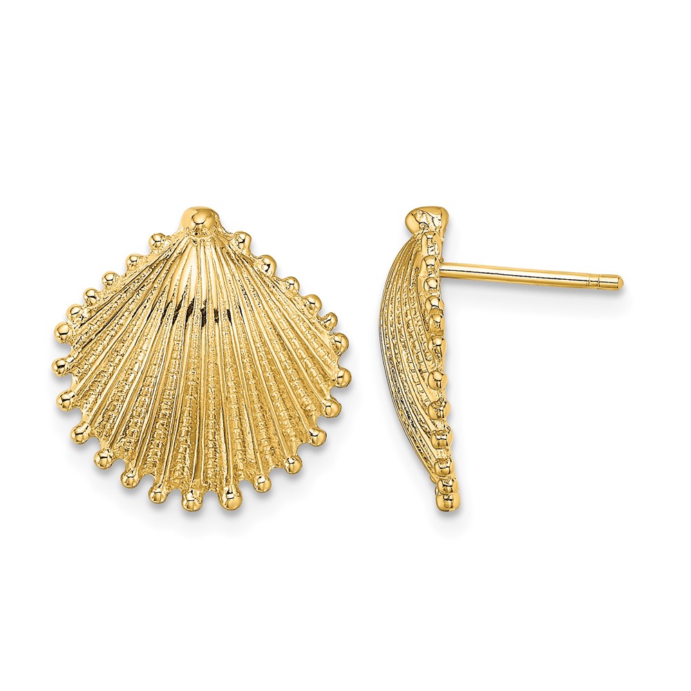 10K Scallop Shell Post Earrings (10TE779)