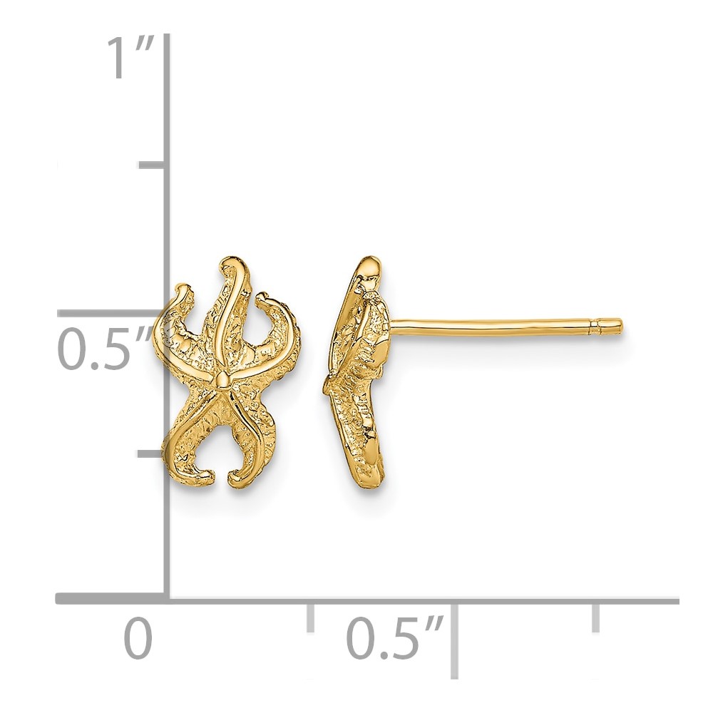 10k Starfish Post Earrings (10TE780)