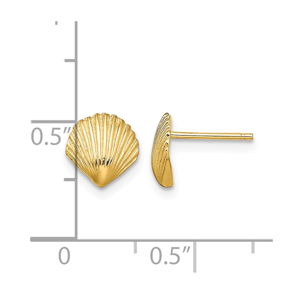 10K Scallop Shell Post Earrings (10TE782)