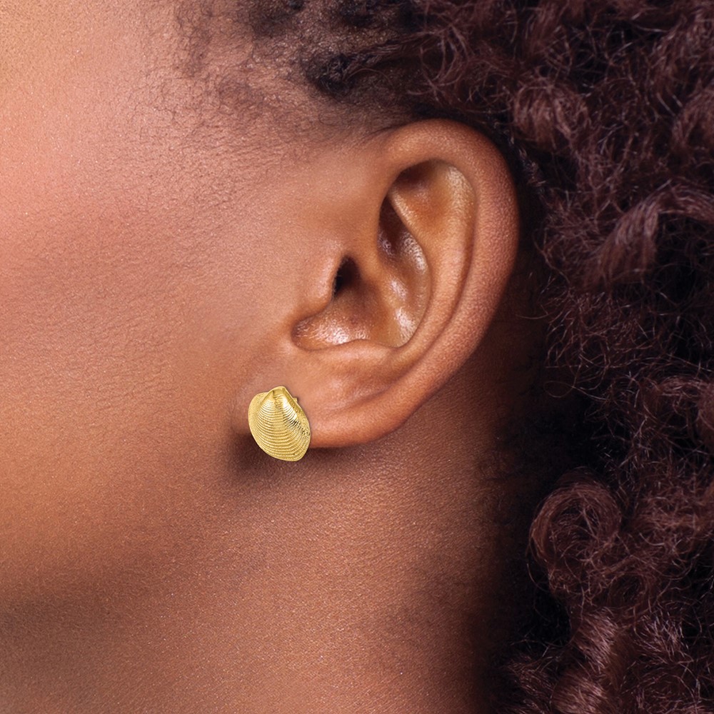 10K Clam Shell Post Earrings (10TE786)
