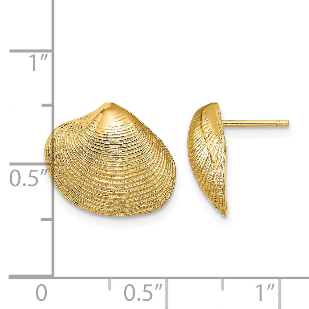 10K Clam Shell Post Earrings (10TE786)