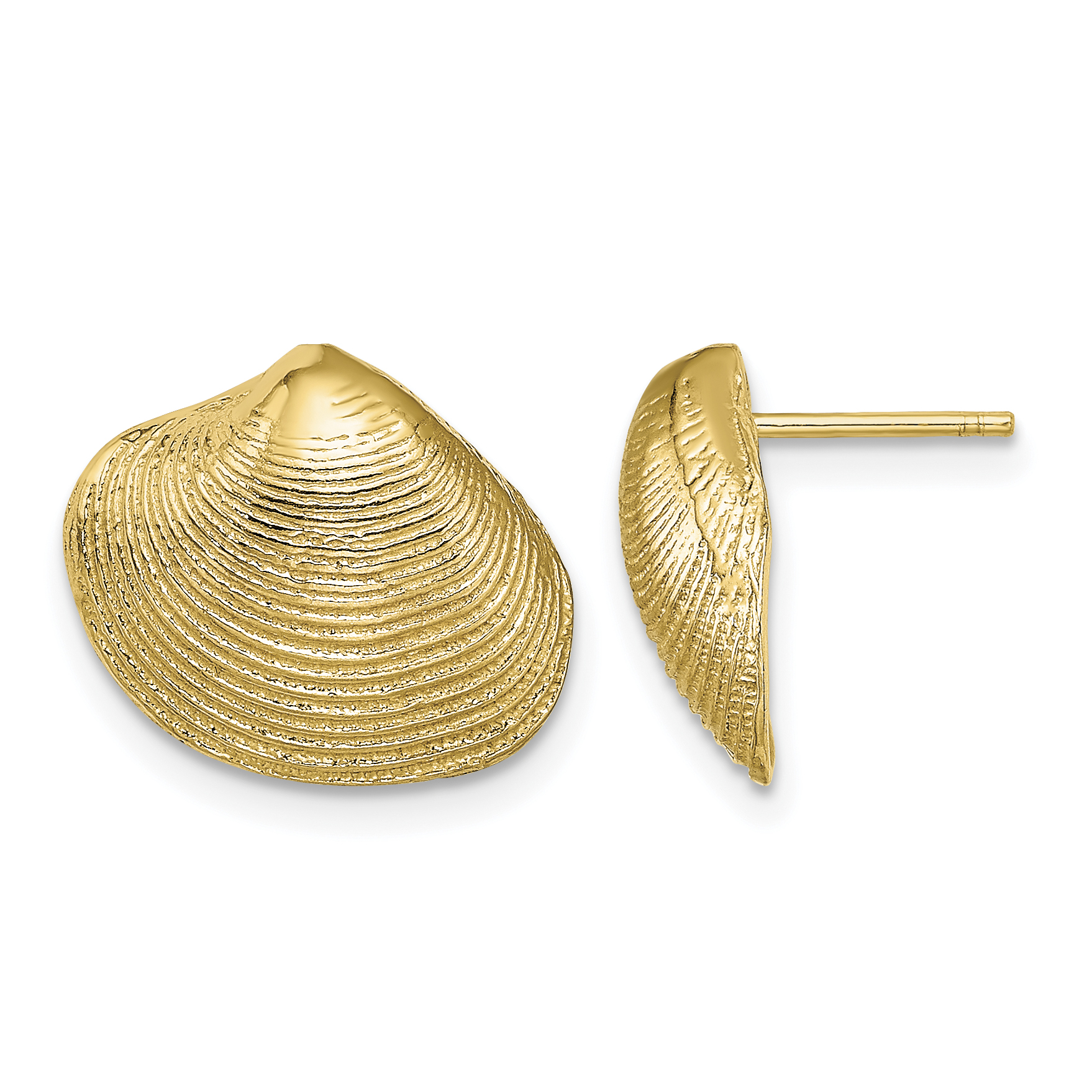 10K Clam Shell Post Earrings (10TE786)