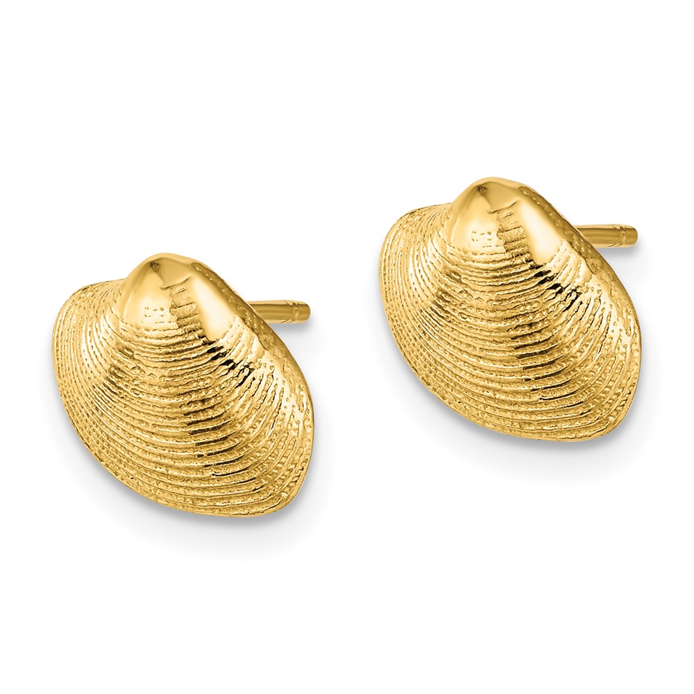 10K Clam Shell Post Earrings (10TE787)