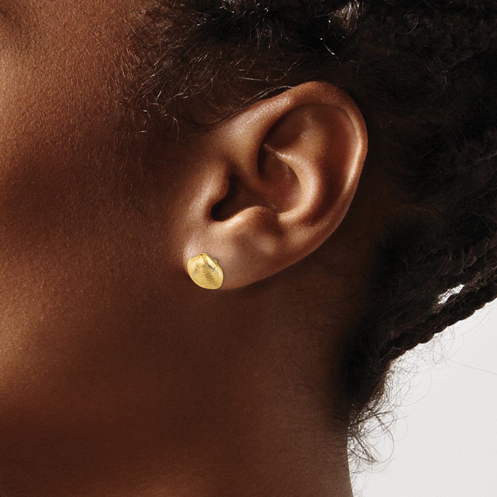 10K Clam Shell Post Earrings (10TE787)