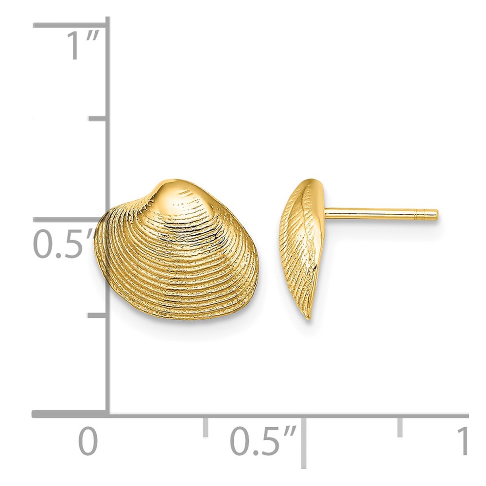 10K Clam Shell Post Earrings (10TE787)