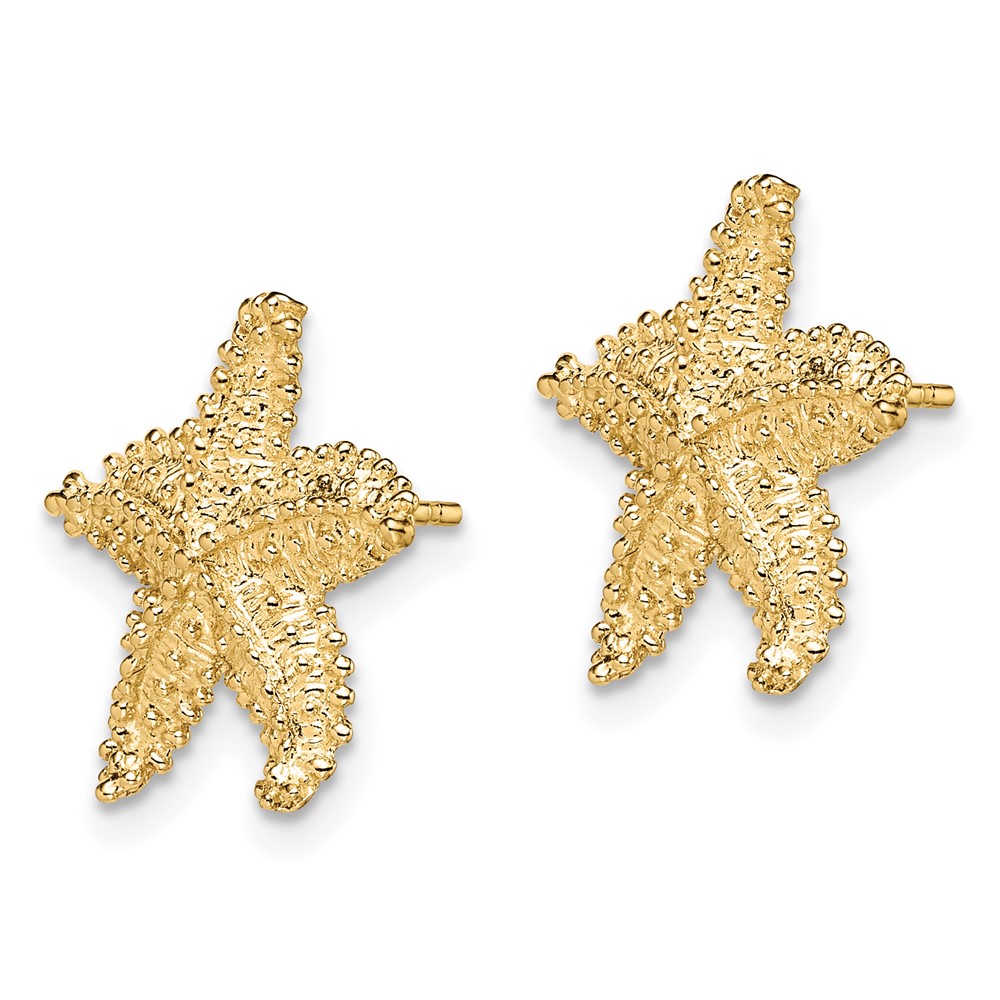 10K Textured Beaded Starfish Post Earrings (10TE868)
