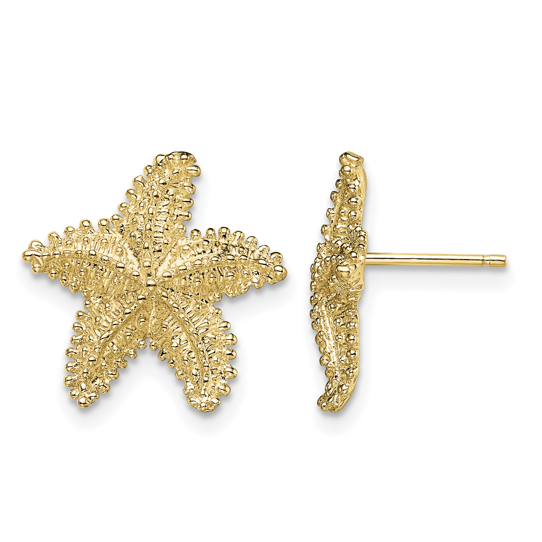 10K Textured Beaded Starfish Post Earrings (10TE868)