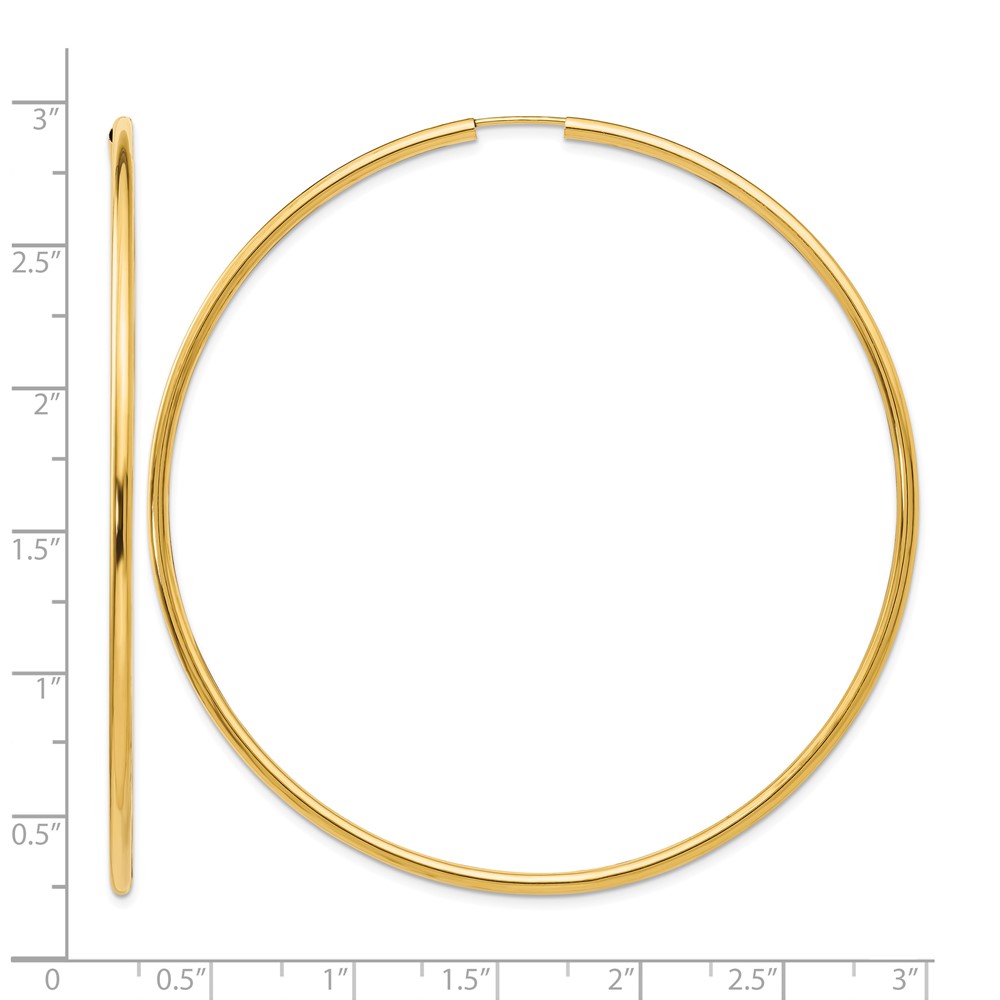 10k Endless Hoop Earrings (10TF802)