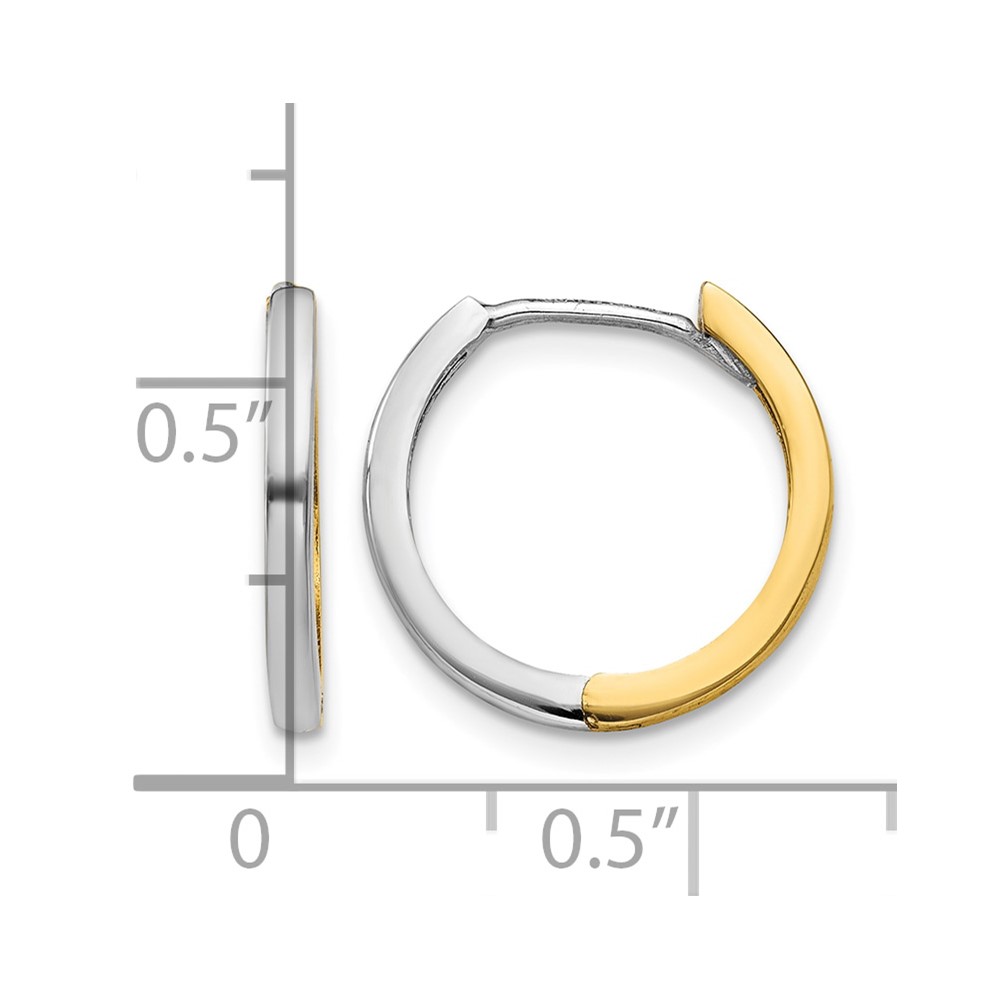 10k Two-tone Round Hinged Hoop Earrings (10TM593)