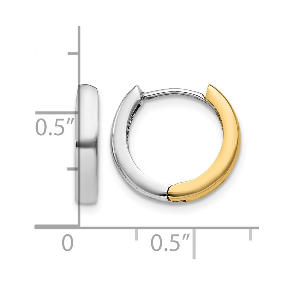 10k Two-tone Hinged Hoop Earrings (10TM597)