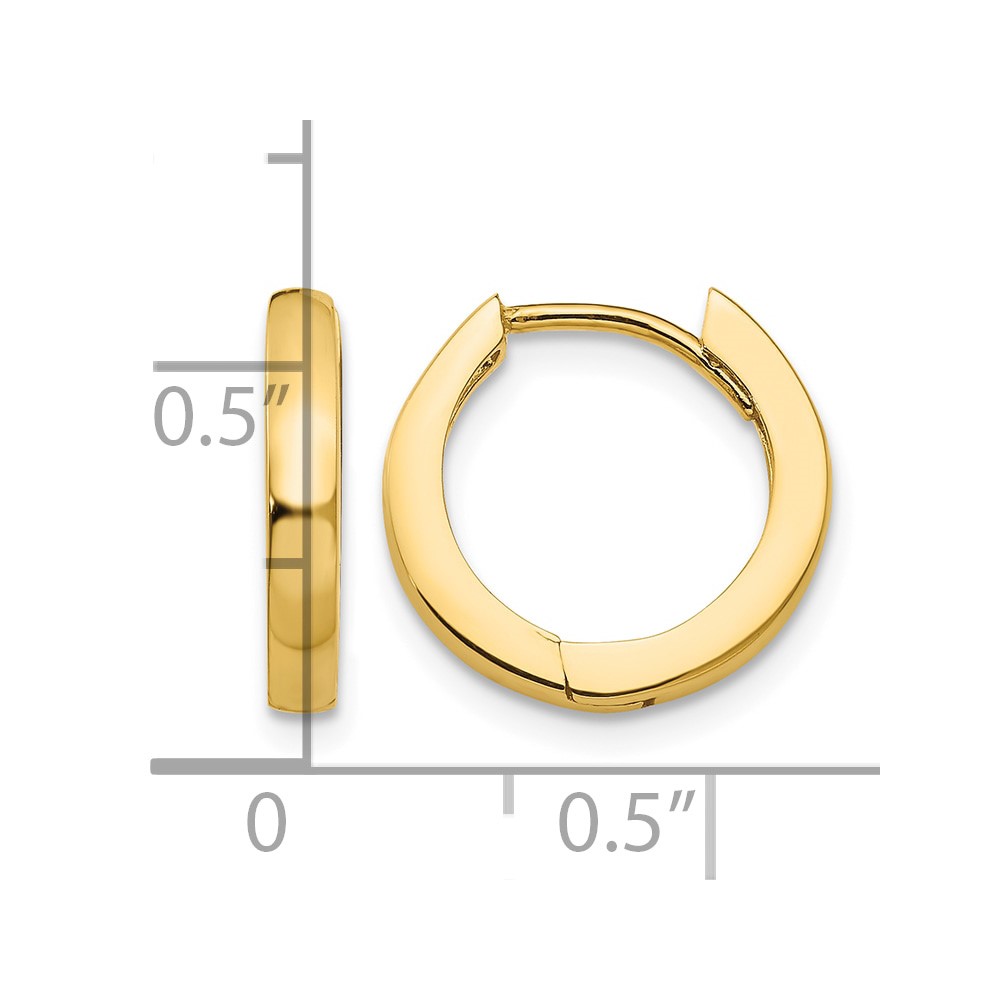 10K Hinged Hoop Earrings (10TM607)