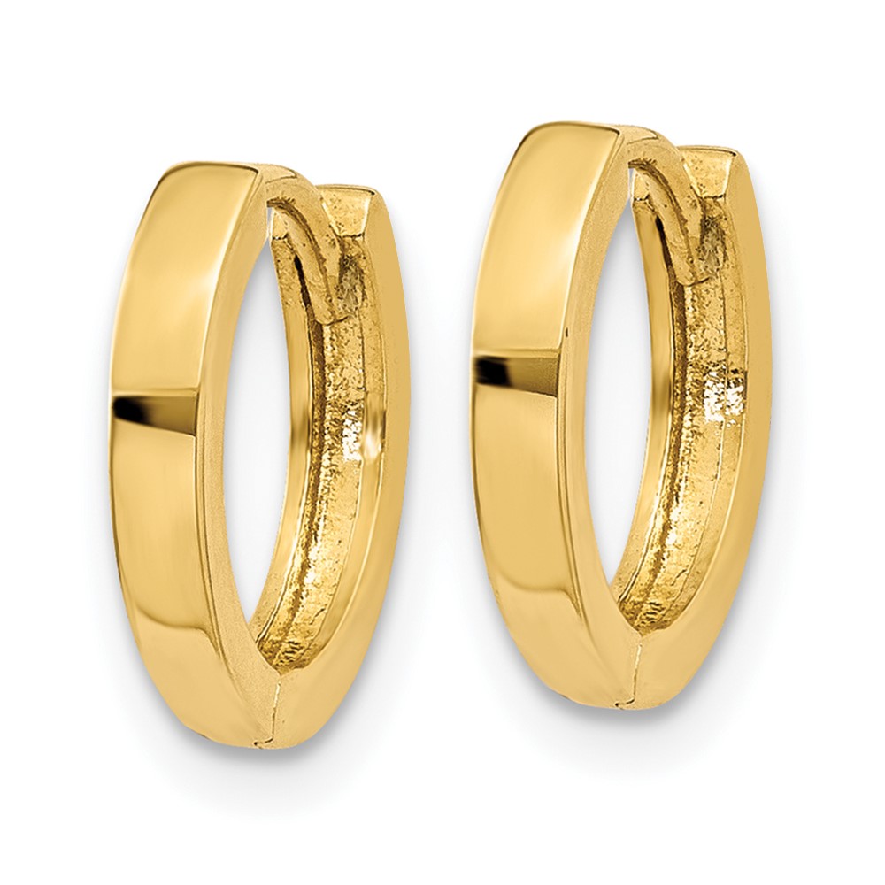 10k Hinged Hoop Earrings (10TM619)