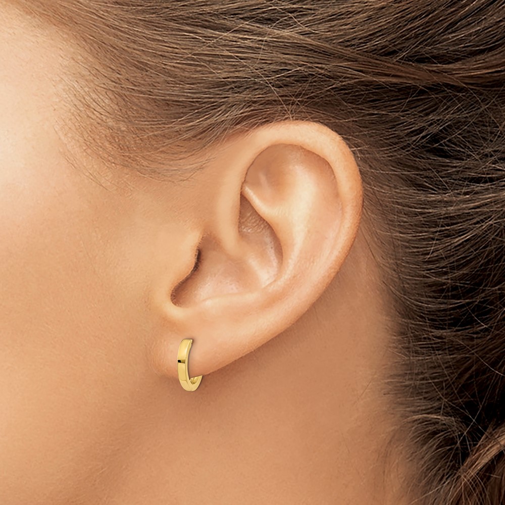 10k Hinged Hoop Earrings (10TM619)