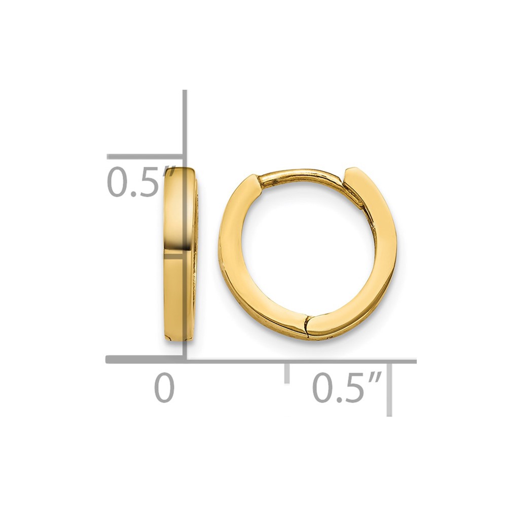 10k Hinged Hoop Earrings (10TM619)
