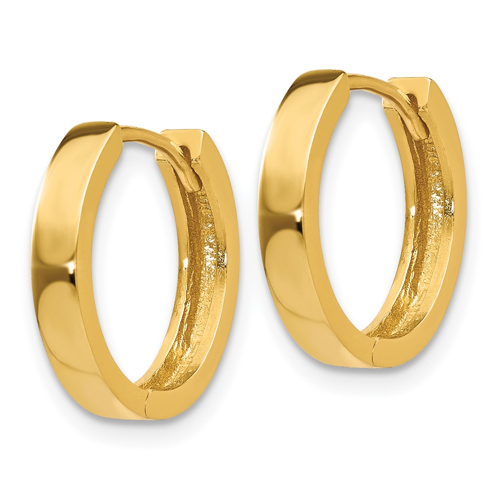 10K Hinged Hoop Earrings (10TM624)
