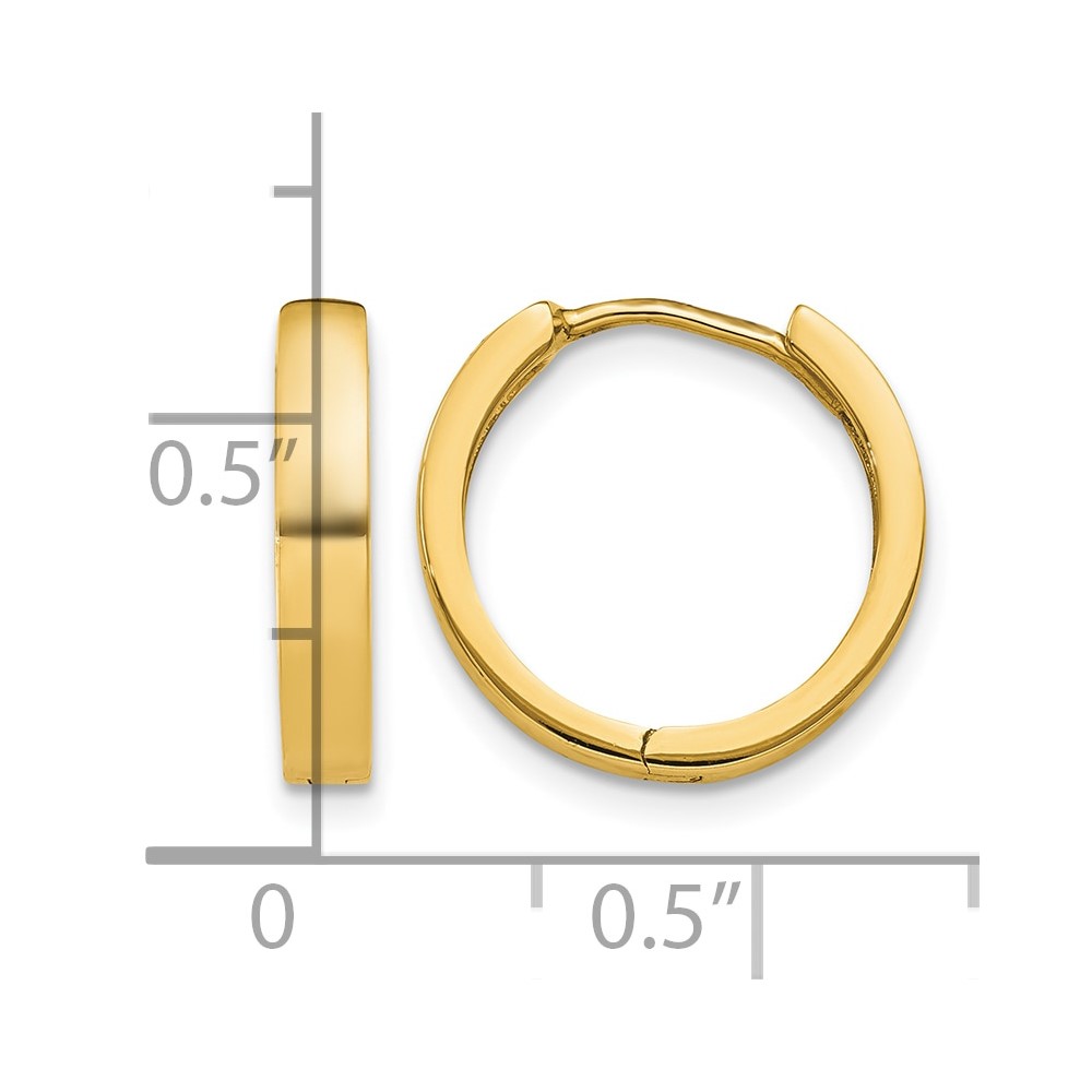10K Hinged Hoop Earrings (10TM624)