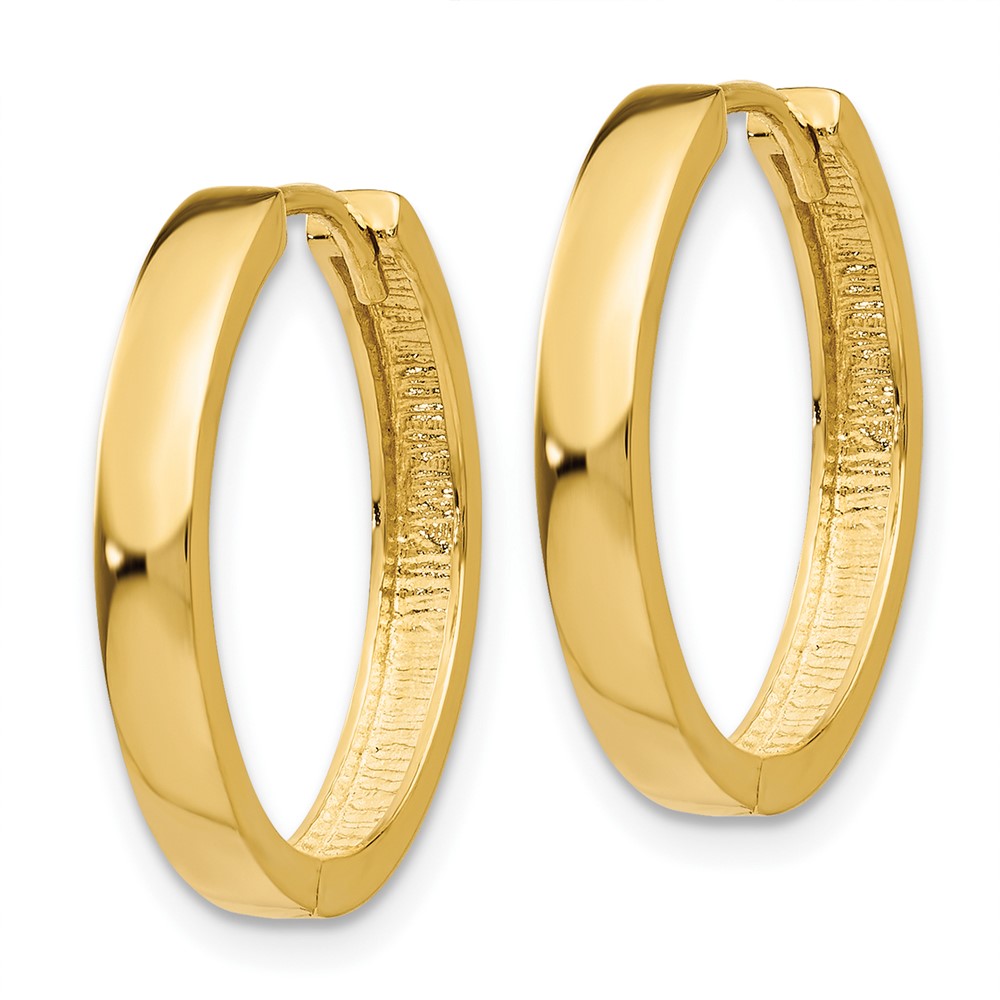10k Hinged Hoop Earrings (10TM629)