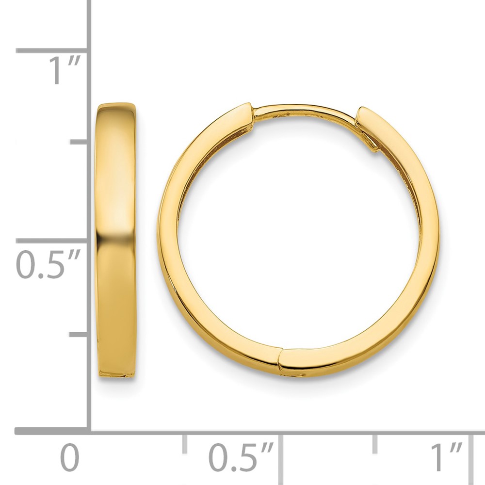10k Hinged Hoop Earrings (10TM629)