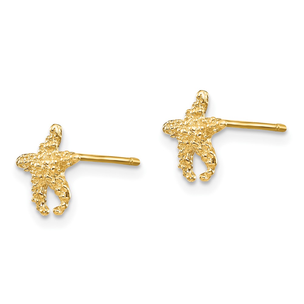 10K Polished Textured Starfish Post Earrings (10TM765)