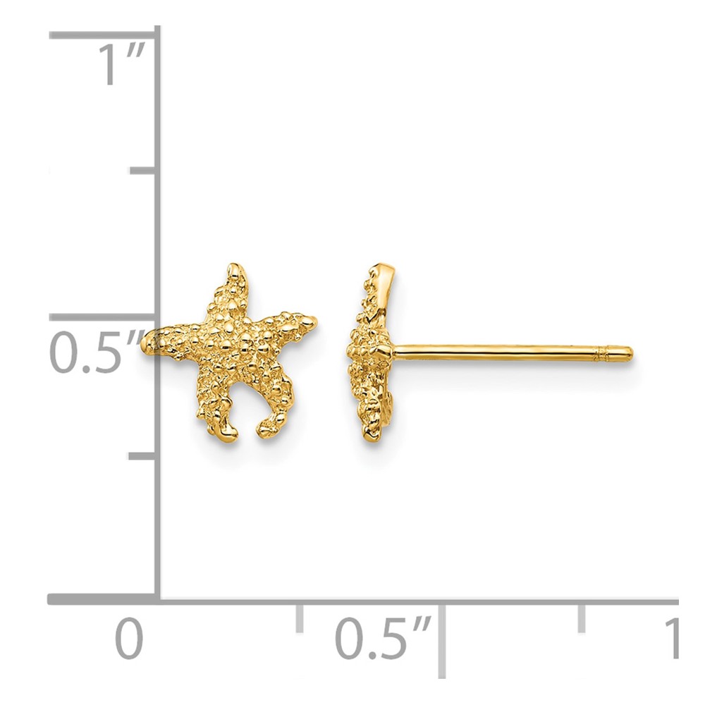10K Polished Textured Starfish Post Earrings (10TM765)