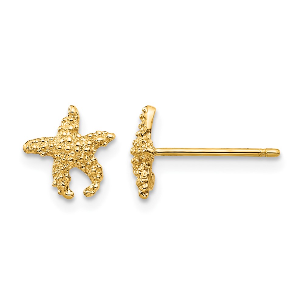 10K Polished Textured Starfish Post Earrings (10TM765)
