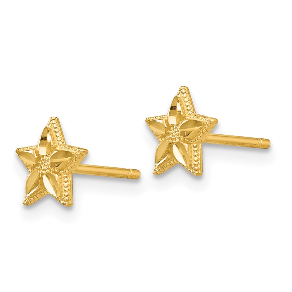 10k Polished & D/C Star Post Earrings (10TM782)